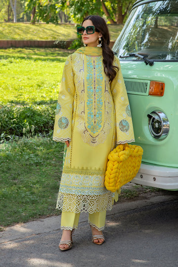 Rang Rasiya Ayla Online Shopping